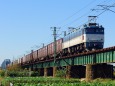 EF81 501貨物列車