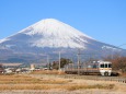 富士山と313系