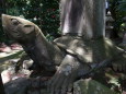 月照寺の亀の石像