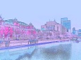 中央公会堂と大阪市役所
