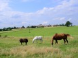 ドイツの牧場風景