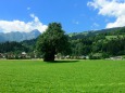 スイス 高原風景