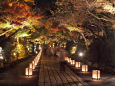 夜の石山寺・参道