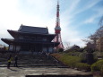 お寺と東京タワー 1