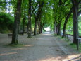 Schlossberg山麓の遊歩道