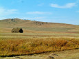 草刈りを急ぐ秋のモンゴル草原