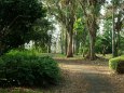 2月3日の荒山公園