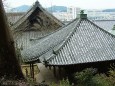 紀三井寺と和歌山市街