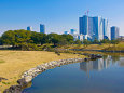 早春の浜離宮恩賜庭園