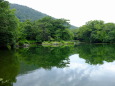 緑あふれる栗林公園