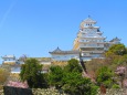 春の姫路城(東面)
