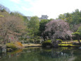 好古園・姫路城望む借景の庭