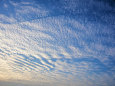 明け方の鱗雲