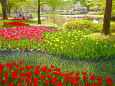 昭和記念公園・春の彩り