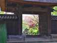 春の西方寺