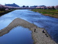 桜並木と釣り風景