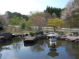 桜峠は葉桜だった