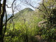 登山道の途中で