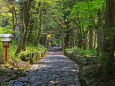大神山神社へ続く石畳の参道