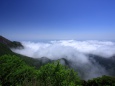 普賢岳の雲海