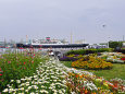 横浜 山下公園