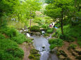 有栖川宮記念公園・水辺の風景