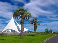 葛西臨海公園・海沿いの遊歩道