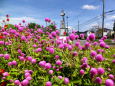 時計台のある公園で