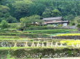 山村の秋