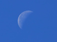 青空に浮かぶ下弦の月月齢=23.1