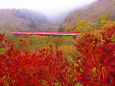 八ヶ岳の赤い橋・東沢大橋