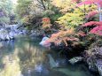 本日の昇仙峡紅葉2