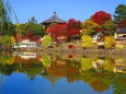 奈良興福寺南円堂を猿沢の池より