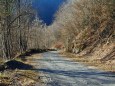 初冬の中津川林道