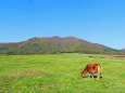 秋の蒜山高原4