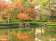 水辺の紅葉