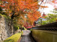 紅葉・阿弥陀坂＠善峯寺