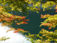 秋の音水湖
