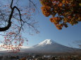 晩秋の富士山