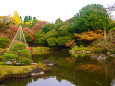 旧古河庭園の日本庭園