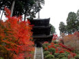 湖南三山常楽寺・三重塔と紅葉