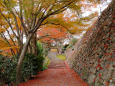 紅葉の勝尾寺・鐘楼下の参道