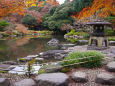 旧古河庭園の日本庭園