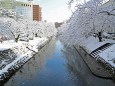 樹氷の松川