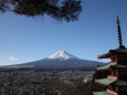 新倉山から富士山