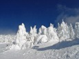 ざんげ坂の樹氷