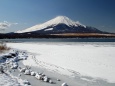 厳冬の富士