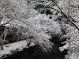 雪の松平東照宮