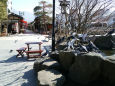 四柱神社と鳩の群れ