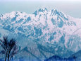 黒沢高原から見る五竜岳